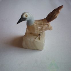 Bird 6